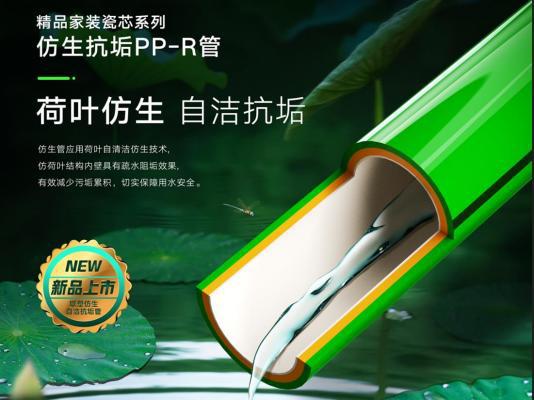 电竞竞猜-守护美好人居中国联塑创新构筑品质生活新范式(图3)