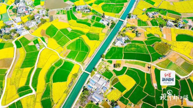 保供面积1165万亩！2025年都江堰灌区春灌工作全面启幕(图2)