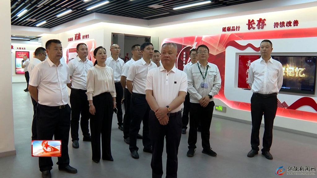 县会调研全县电力保供工作(图2)